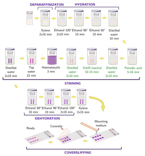 Histochemistry .